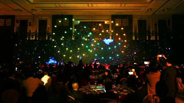 Indoor drone light show